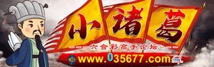 小诸葛高手坛